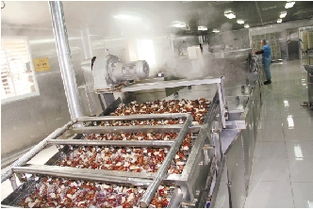 南湖小镇的蜗牛产业链 小蜗牛爬出大世界