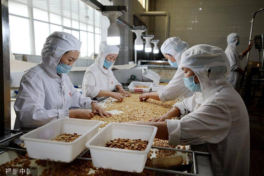 临沂食品企业 深加工花生，提升农产品附加值，打造国家保健食品生产新标杆