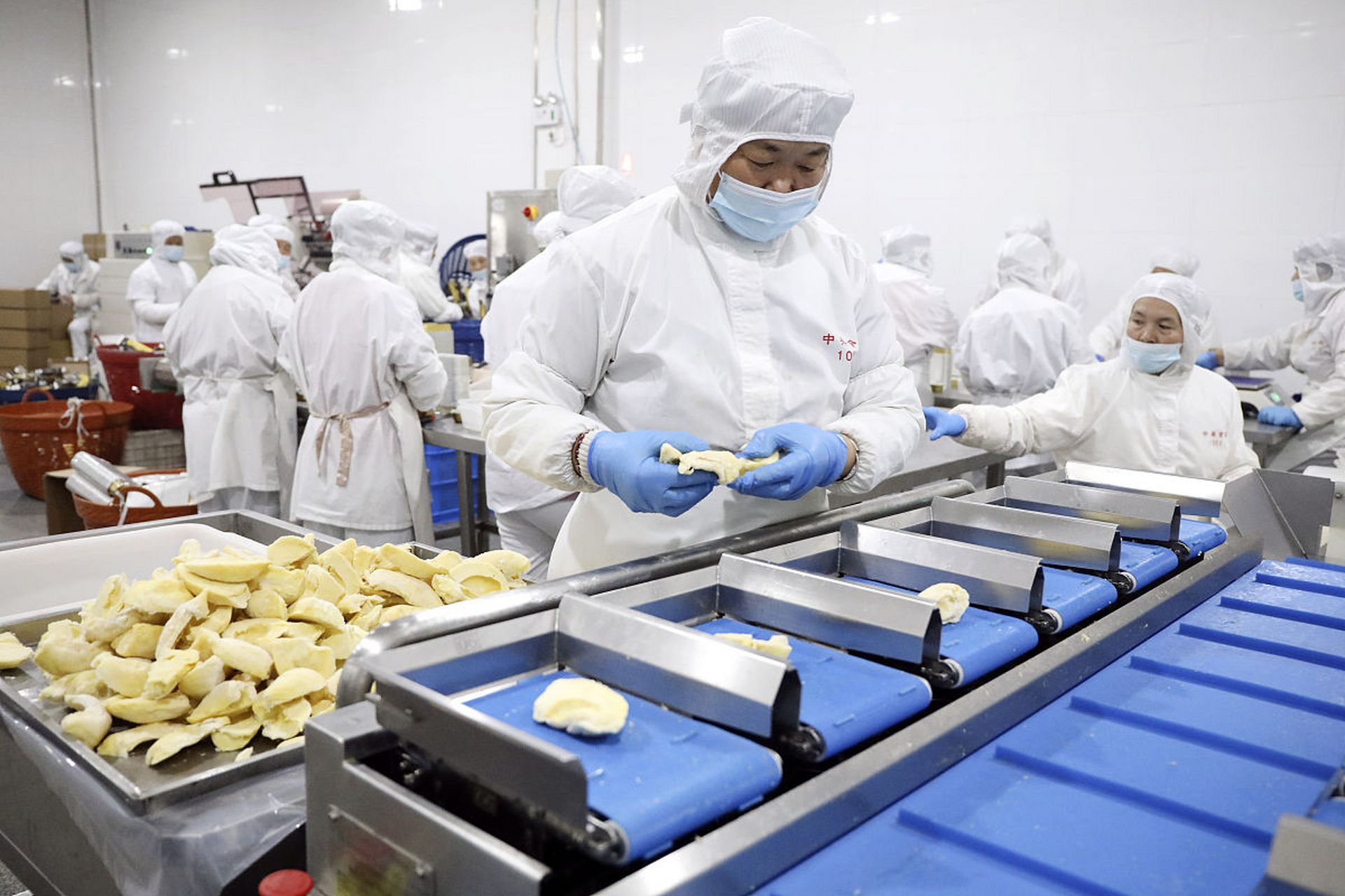 保健食品生产中食品车间霉菌控制的技术与策略